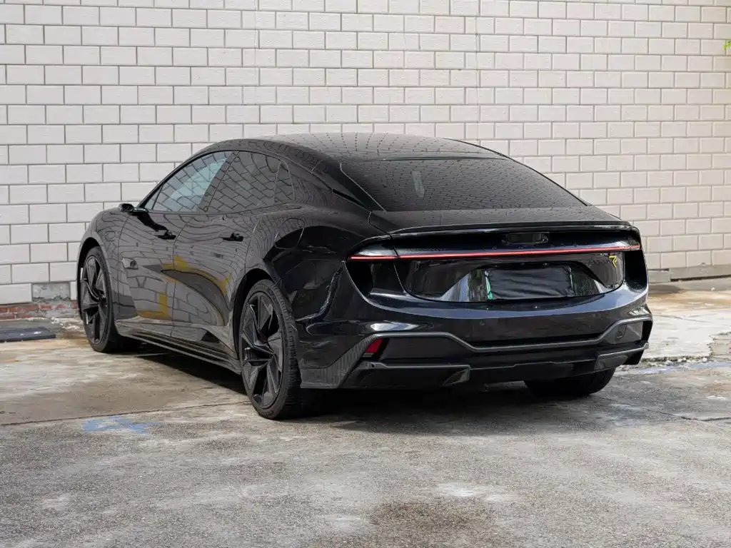 Lotus EMEYA — миниатюра 6