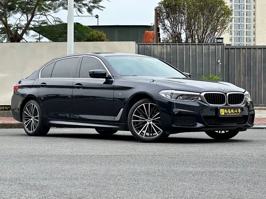 BMW 5 Series 530Li Premium Type M Sport Package, фото 3