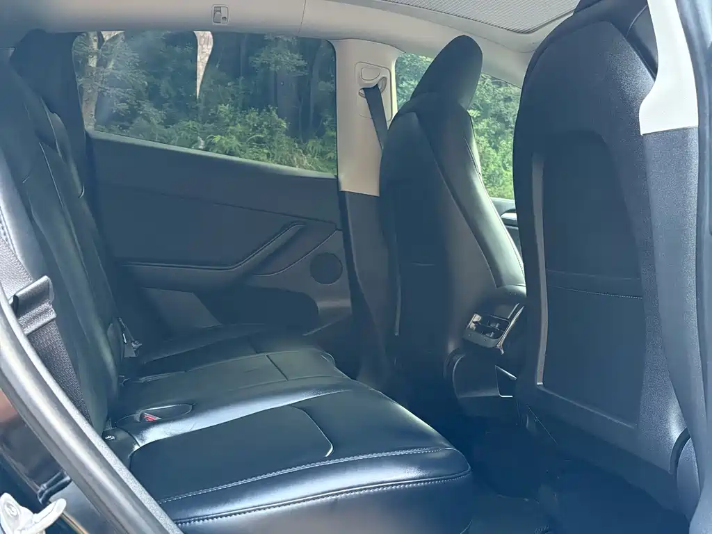 Tesla Model Y — миниатюра 11