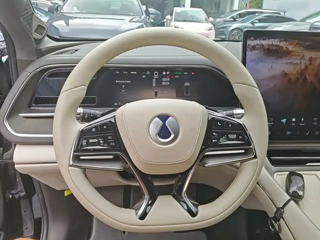 Denza Denza N7 — миниатюра 11