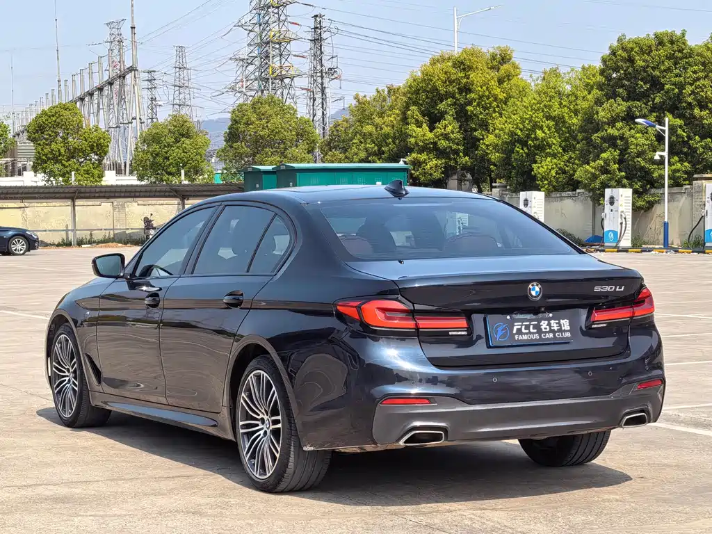 BMW 5 Series 5 2019 530Li Premium M Sport