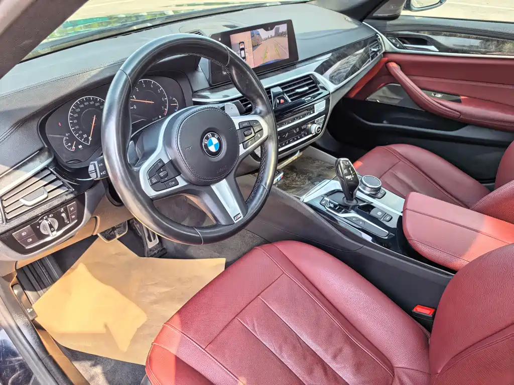 BMW 5 Series 5 2019 530Li Premium M Sport