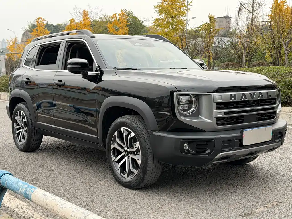 HAVAL BIG DOG