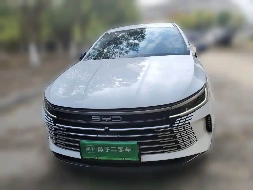BYD Destroyer 05 — миниатюра 2