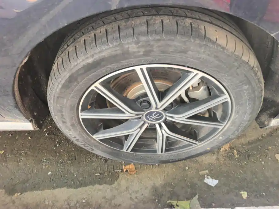 BYD MAX New Energy — миниатюра 6