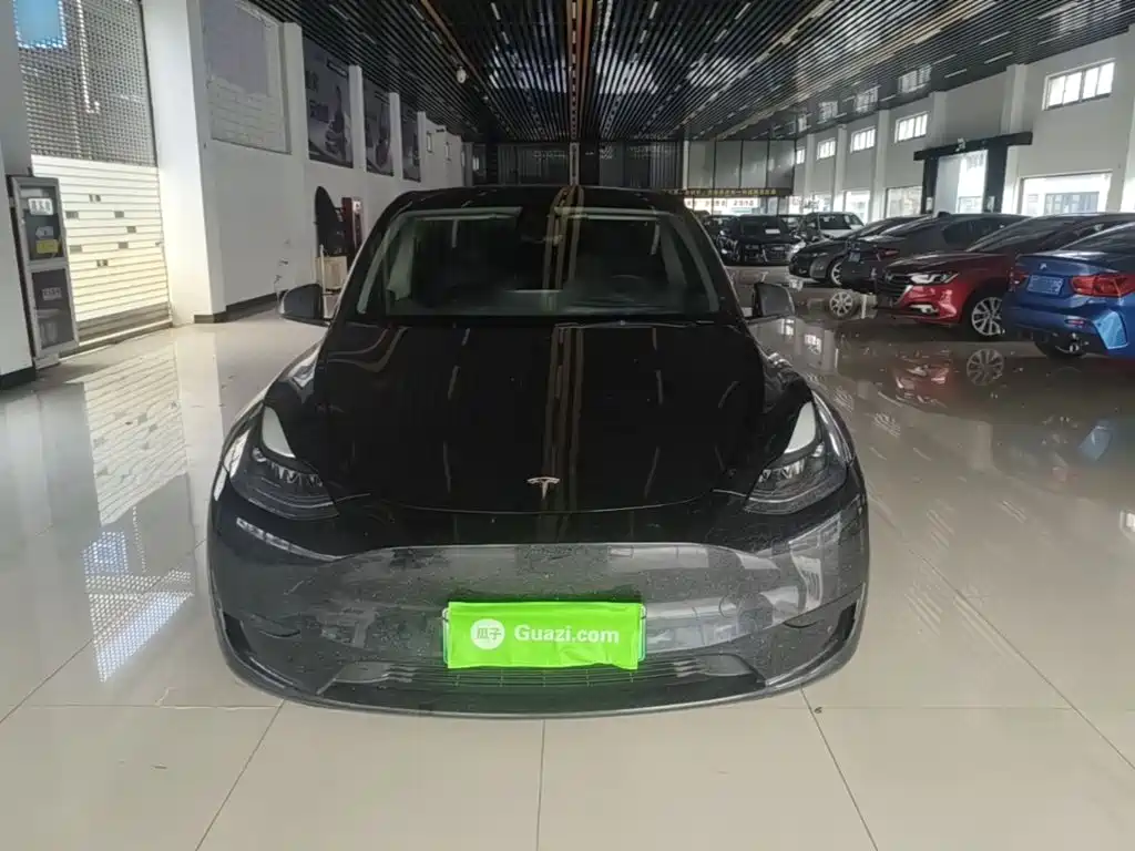 Tesla Model Y — миниатюра 3