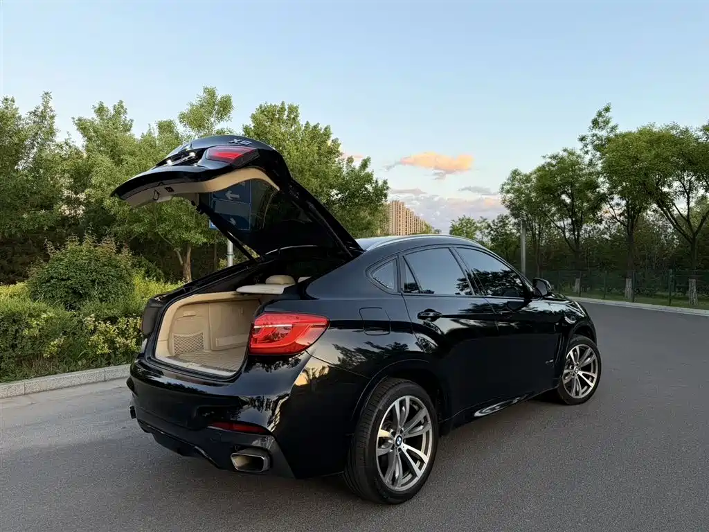 BMW X6 2015 xDrive50i M Sport