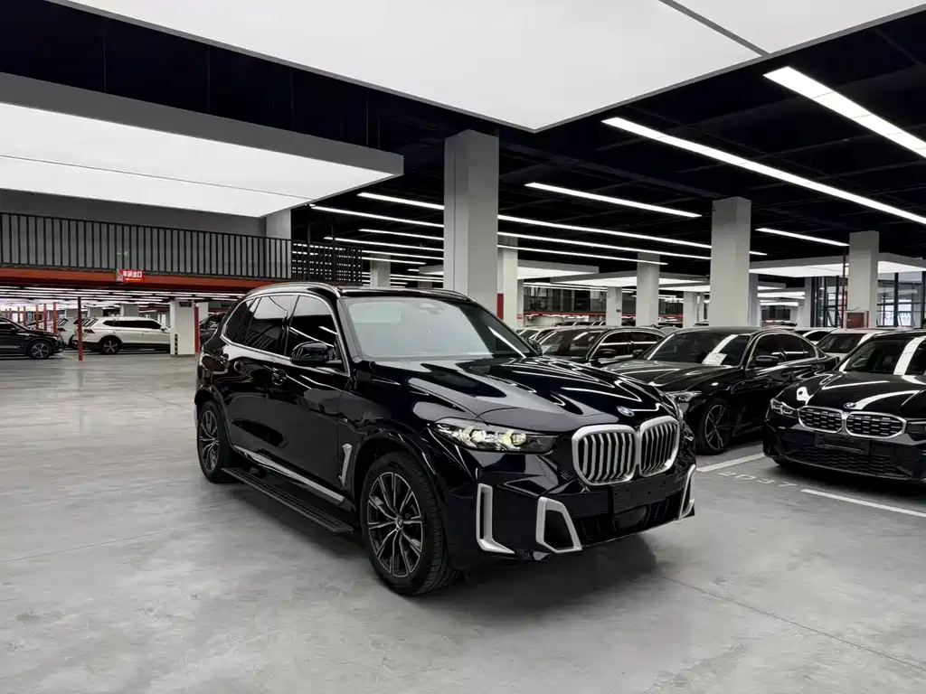 BMW X5 — миниатюра 3