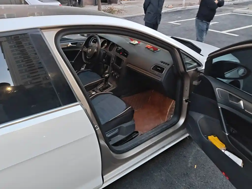 Volkswagen Golf — миниатюра 19