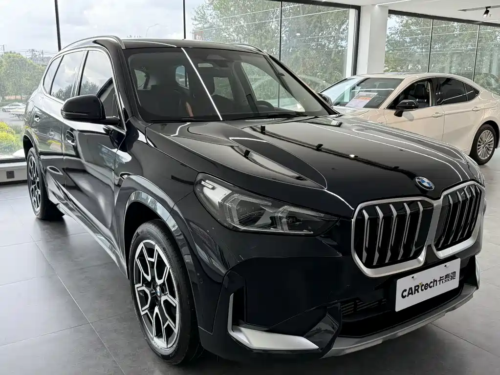 BMW X1 sDrive25Li X Design Package, фото 2