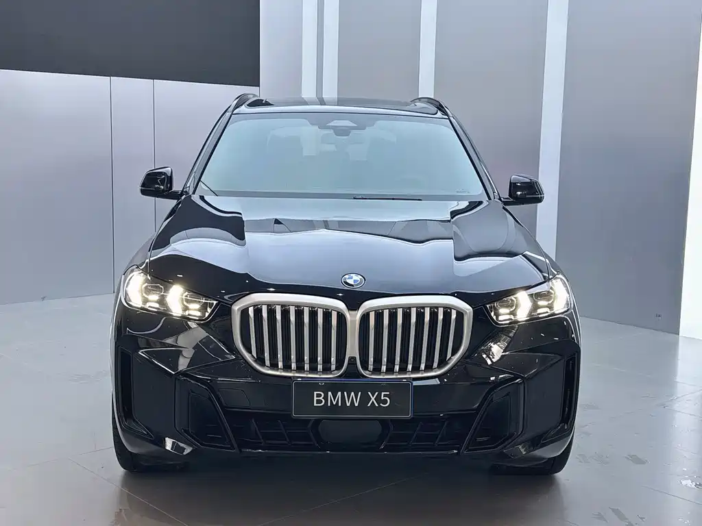 BMW X5 2023 xDrive 40Li M Sport