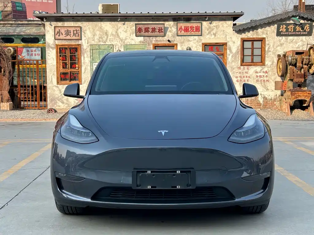 Tesla Model Y — миниатюра 2
