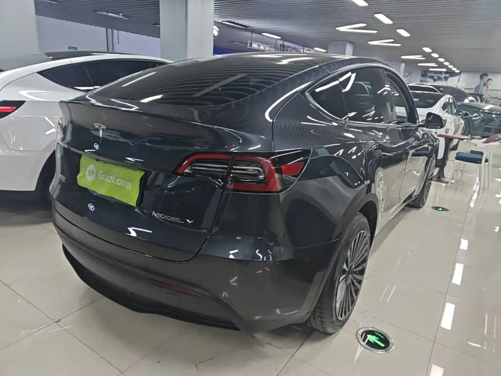 Tesla Model Y — миниатюра 7
