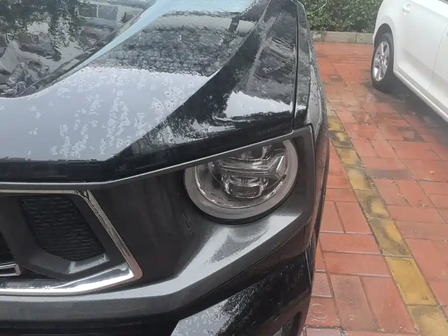 Haval Big Dog PLUS — миниатюра 5