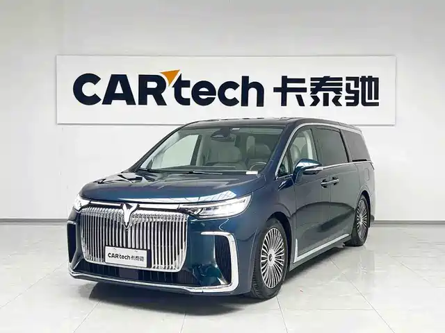 2025 Voyah Dream