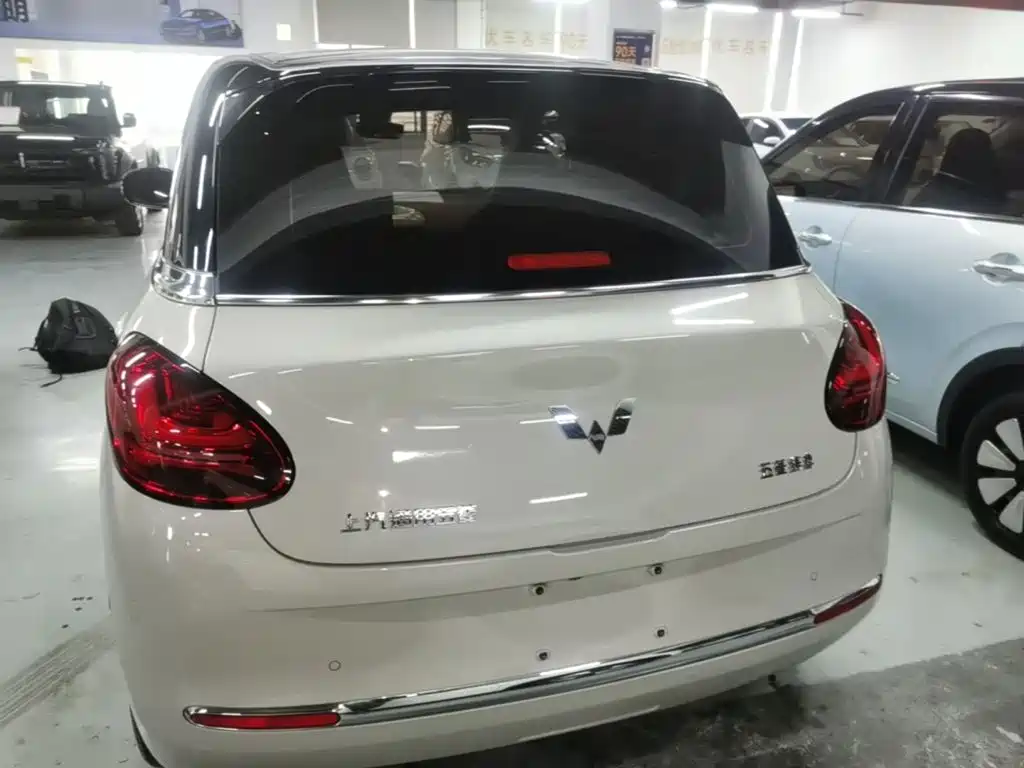Wuling Binguo 2023 333km +