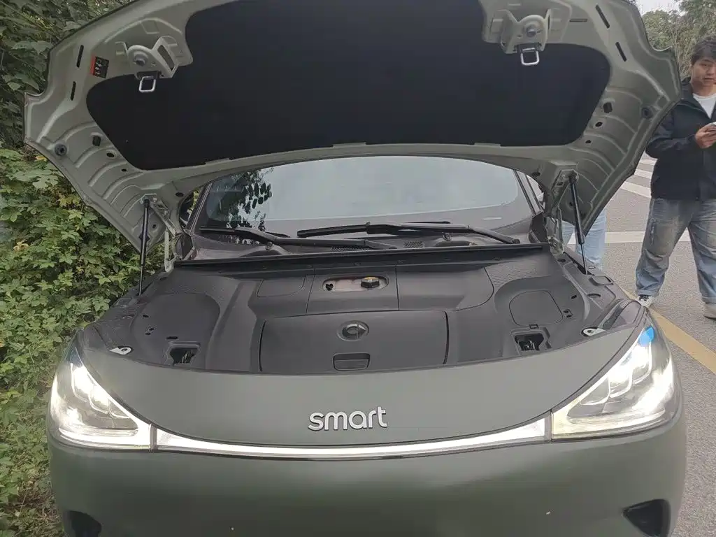smart Smart #1 — миниатюра 16