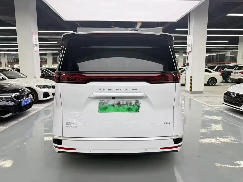 Denza Denza D9 — миниатюра 15