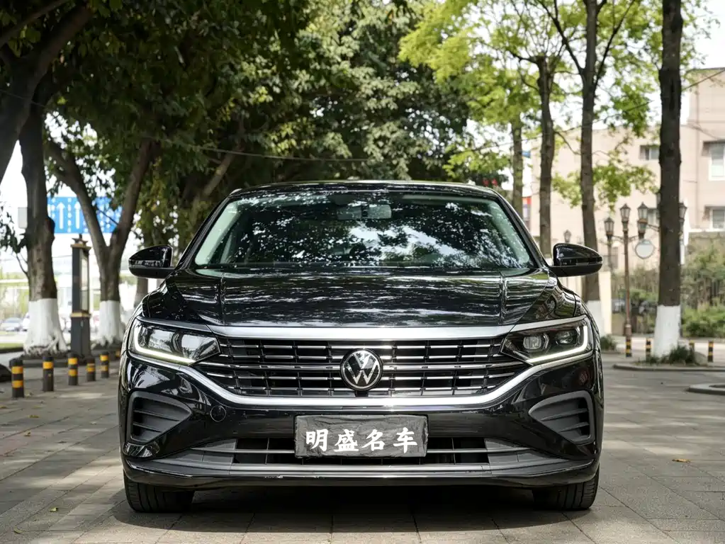 Volkswagen Passat — миниатюра 2
