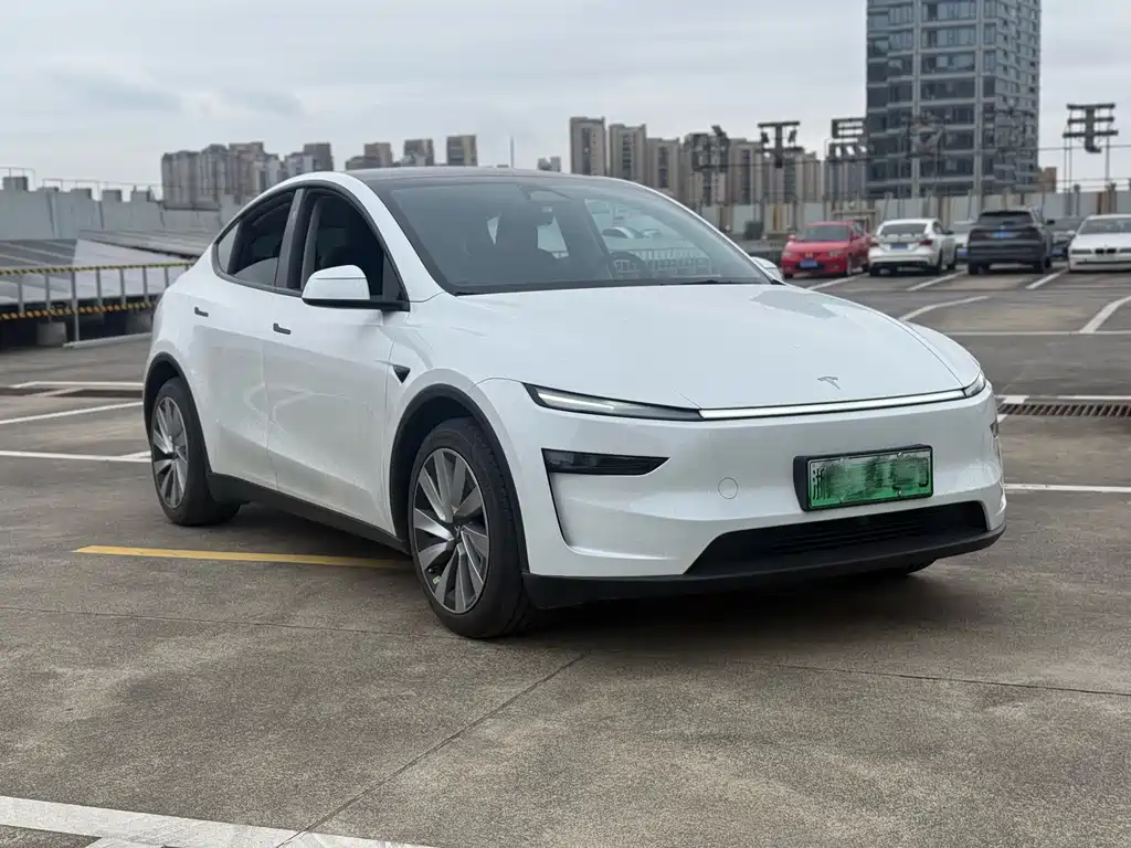Tesla Model Y — миниатюра 3