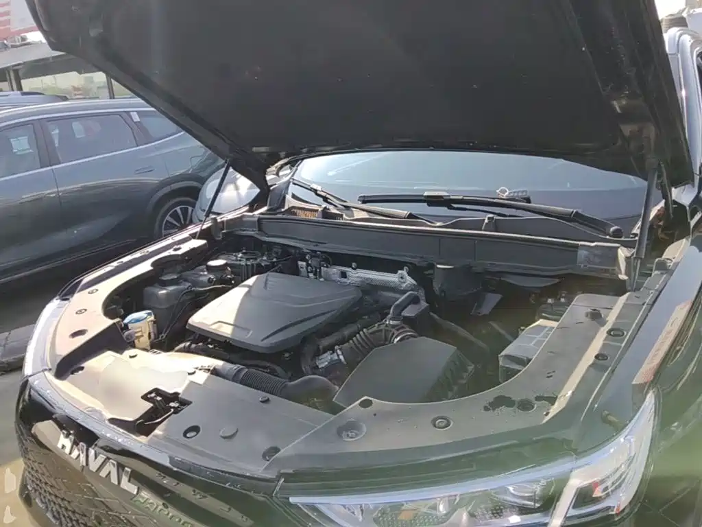 Haval Xiaolong MAX — миниатюра 20