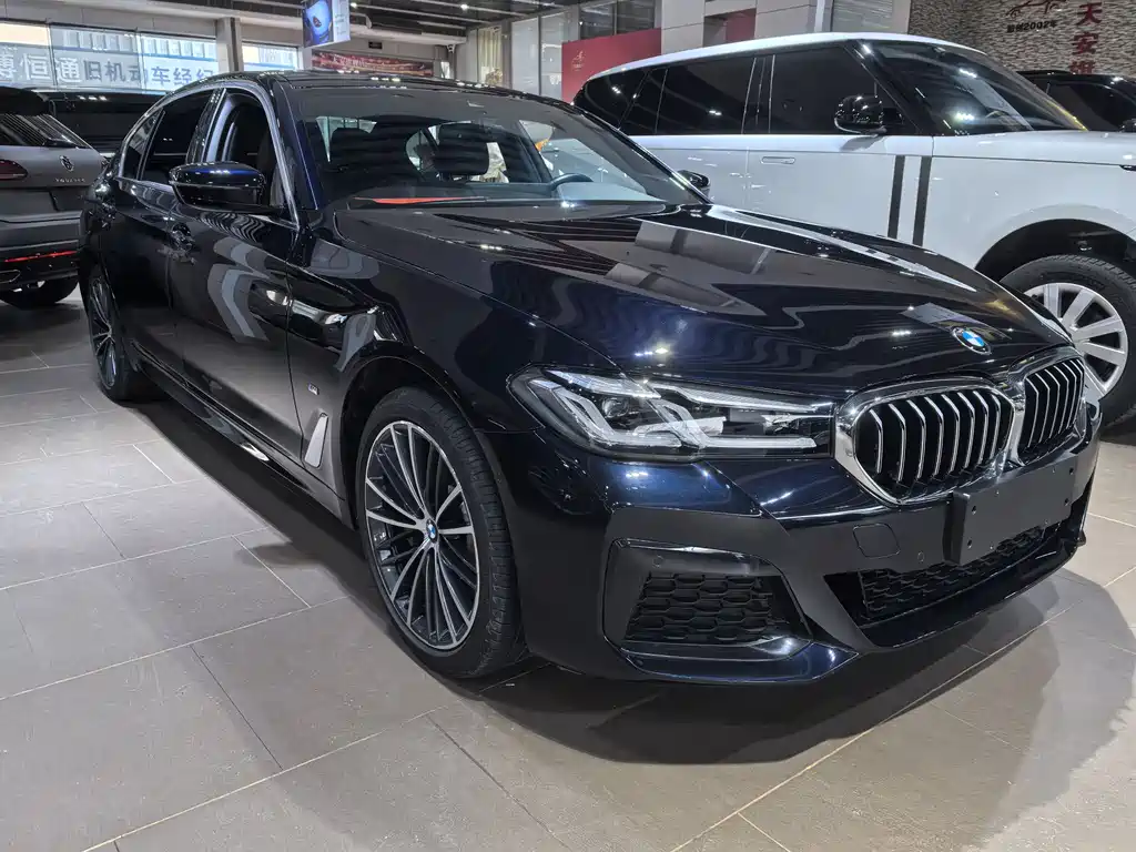 BMW 5 SERIES