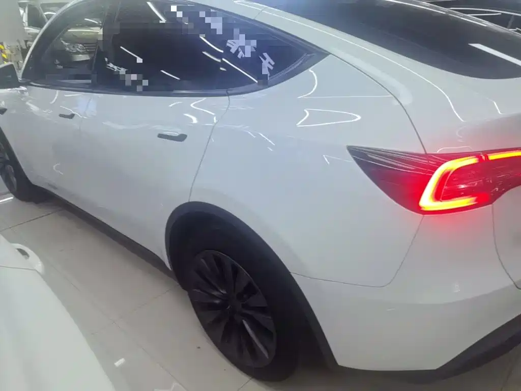 Tesla Model Y — миниатюра 5