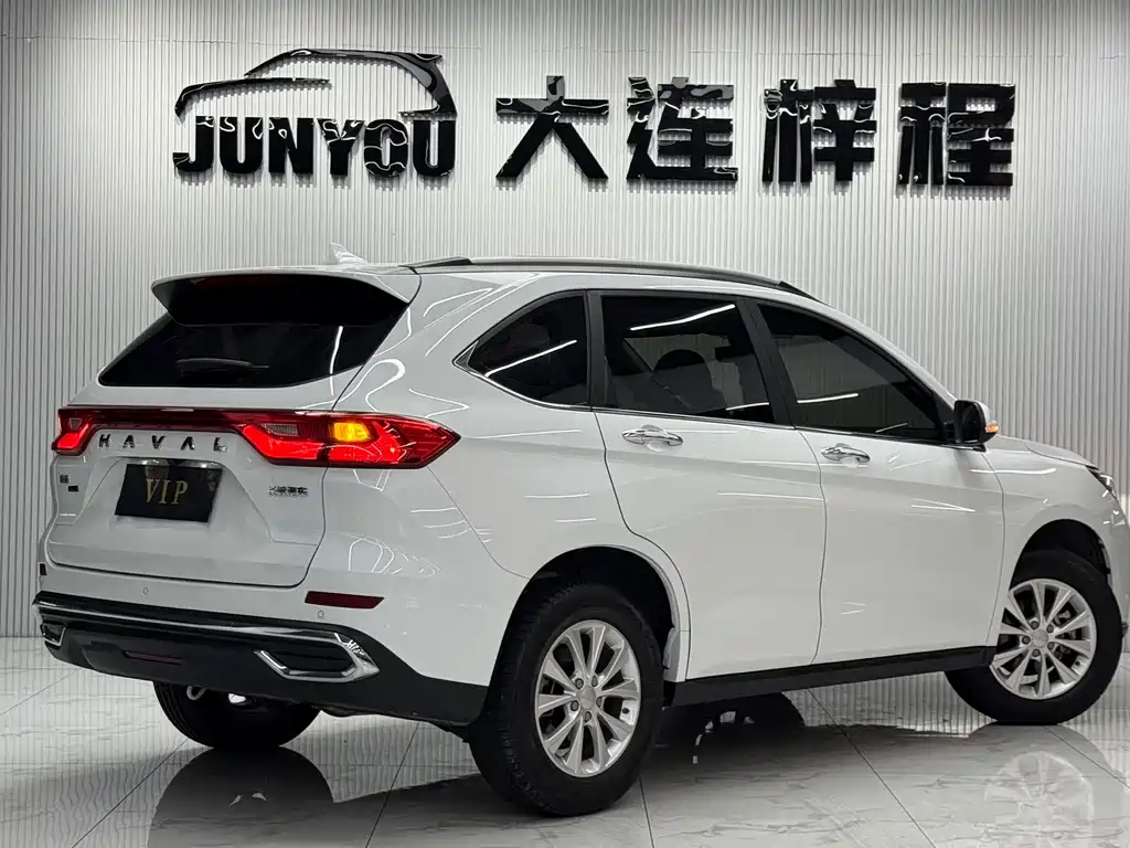 Haval M6 PLUS 1.5T DCT Luxury Connected Type, фото 4