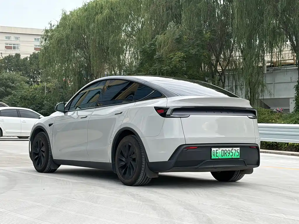 Tesla Model Y — миниатюра 4