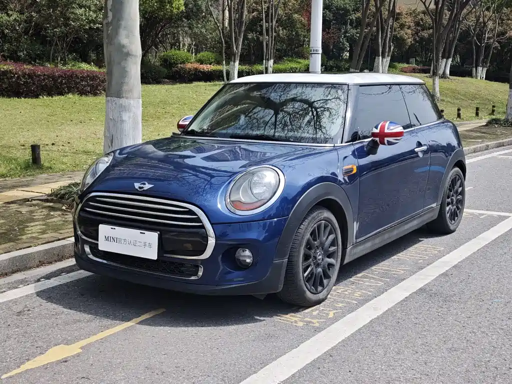 Mini Mini 2015