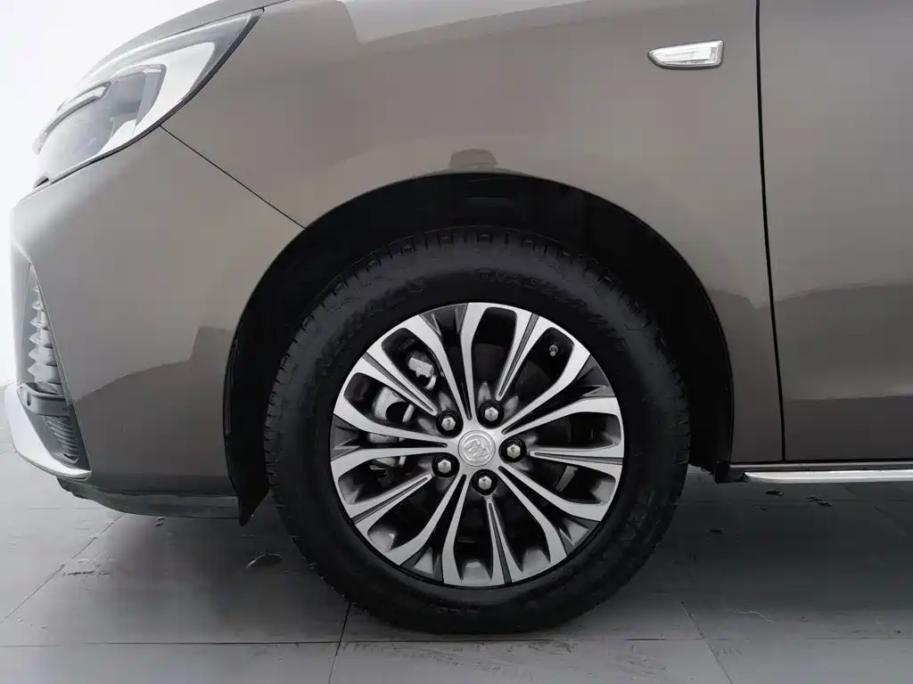 Buick GL8 — миниатюра 17