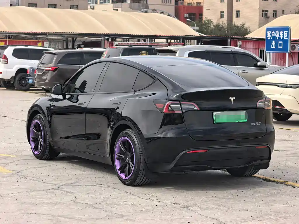 Tesla Model Y — миниатюра 9