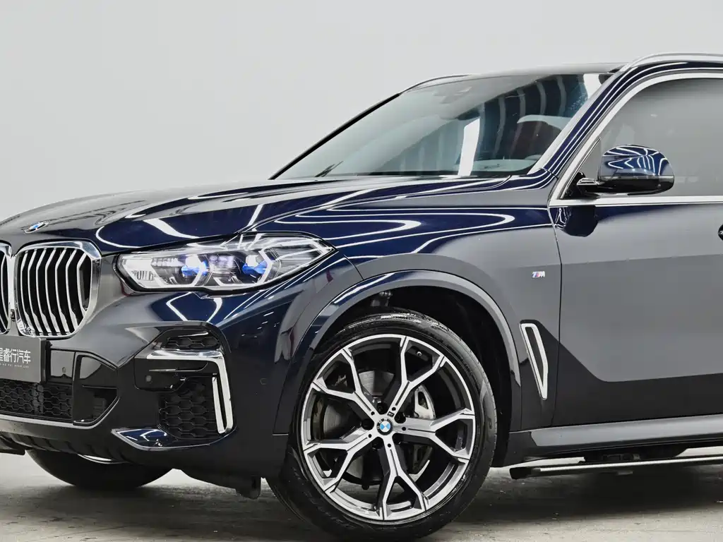 BMW X5 — миниатюра 25