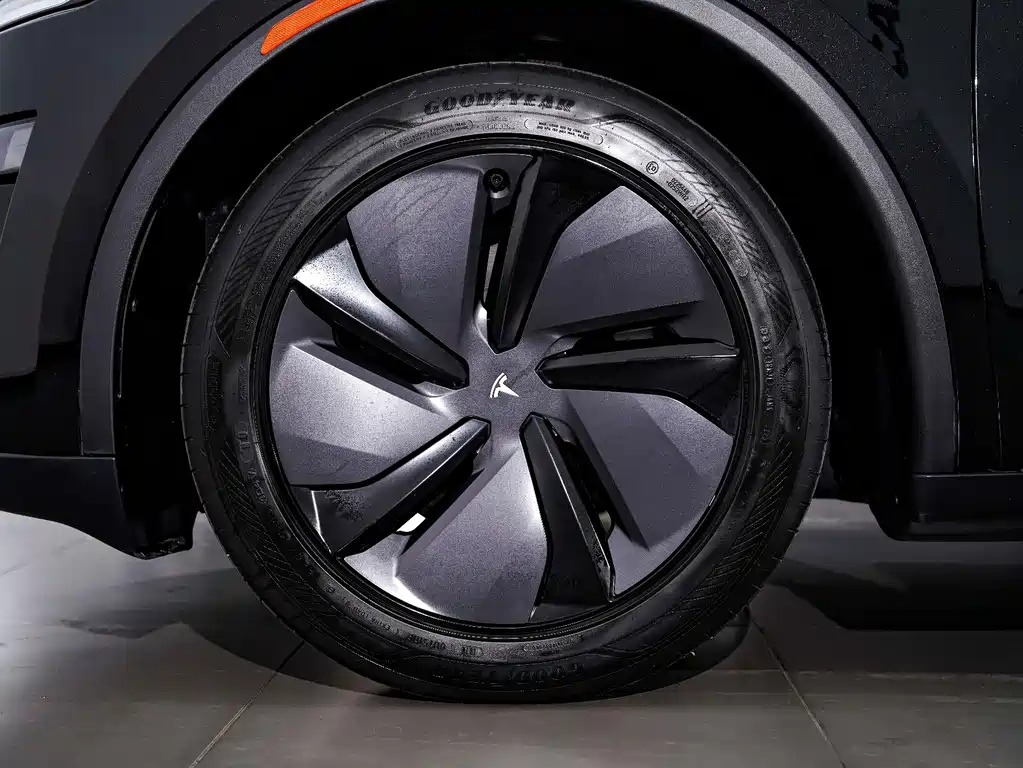 Tesla Model Y — миниатюра 6