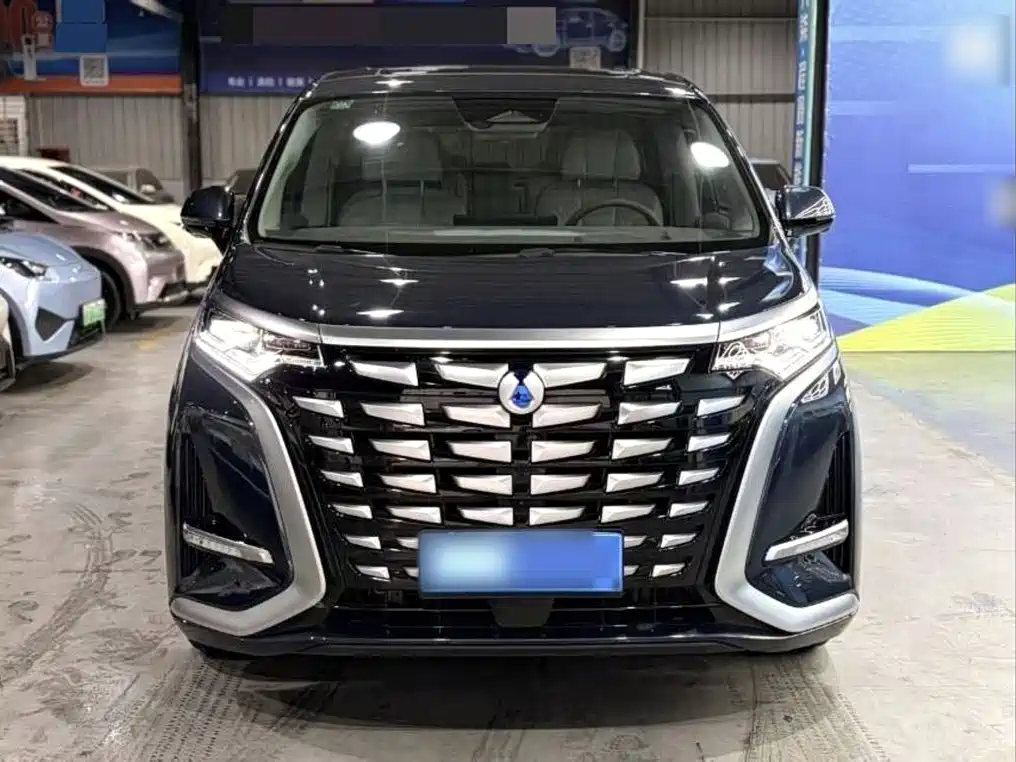 Denza Denza D9 — миниатюра 3