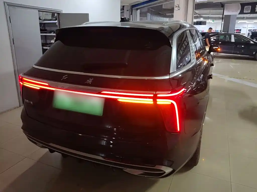 Hongqi Hongqi E-HS9 — миниатюра 7