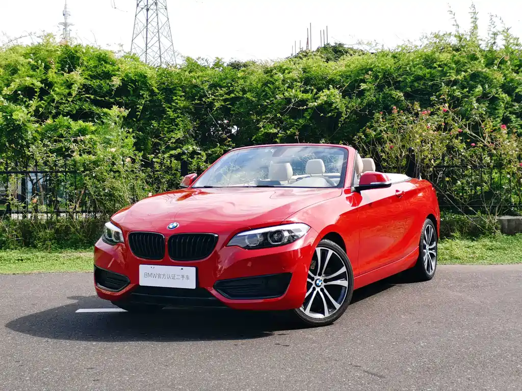 BMW 2 Series (Import) — миниатюра 9