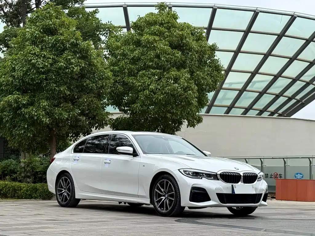 BMW 3 Series 3 2022 325Li M Sport