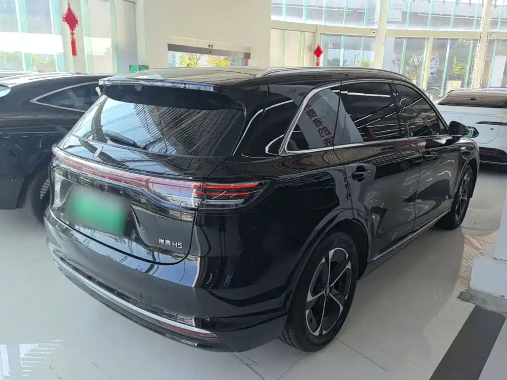 Shangjie Shangjie H5 — миниатюра 7