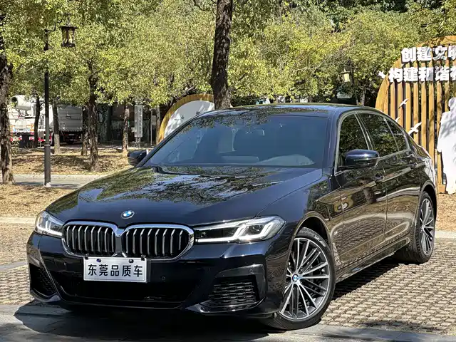 BMW 5 SERIES