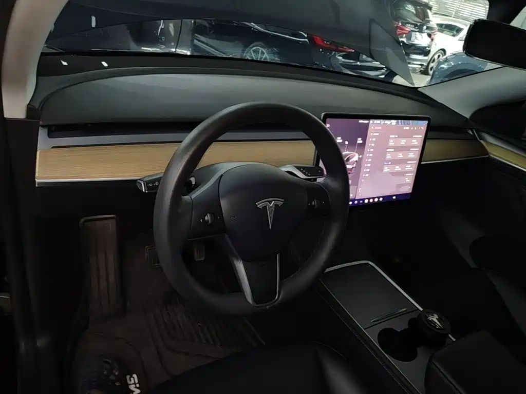 Tesla Model Y — миниатюра 10