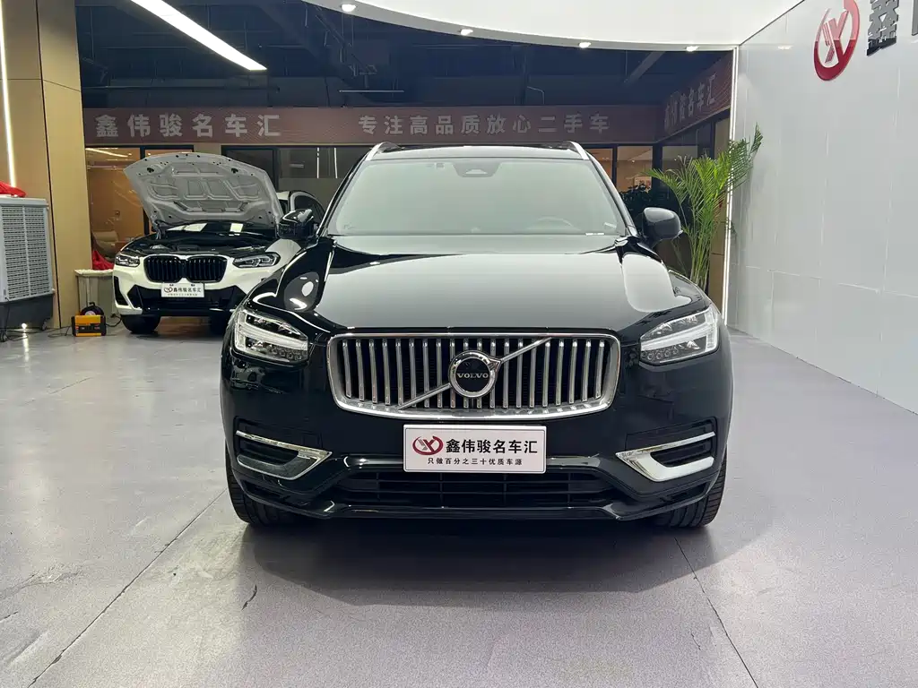 Volvo XC90 — миниатюра 3