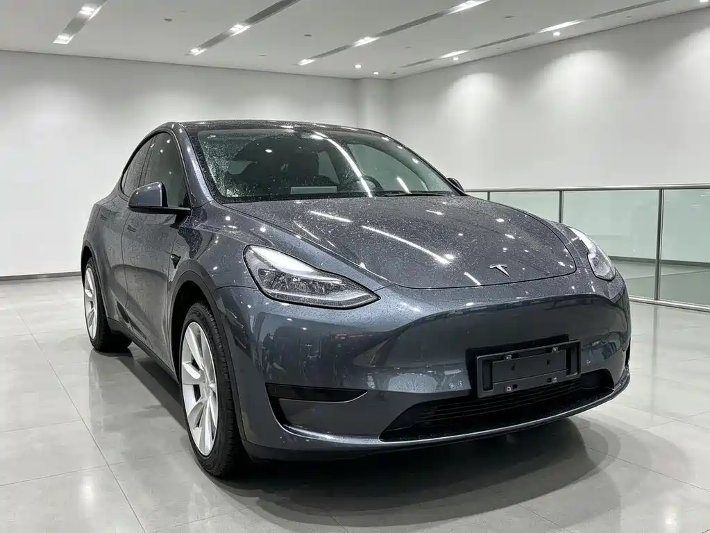 Tesla Model Y — миниатюра 3