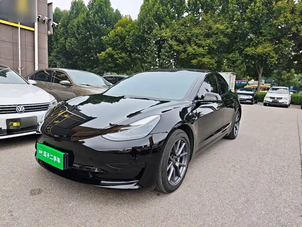 Tesla Model 3 — миниатюра 2