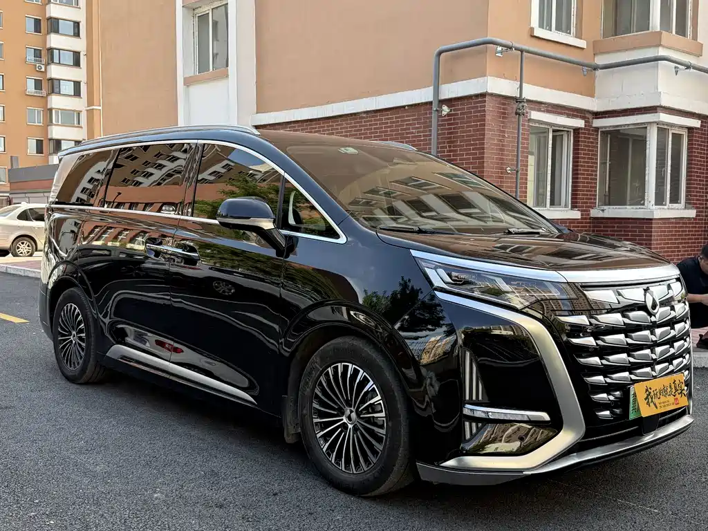 Denza Denza D9 — миниатюра 3