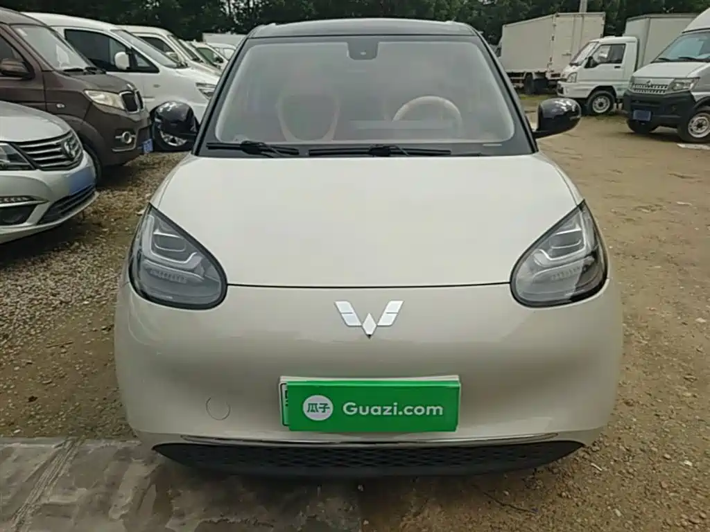 Wuling Binguo 2023 333km Enjoy