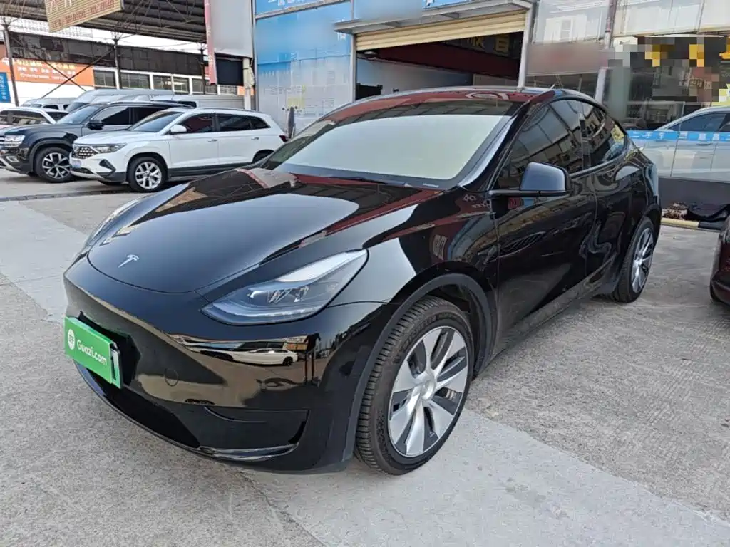 Tesla Model Y — миниатюра 2