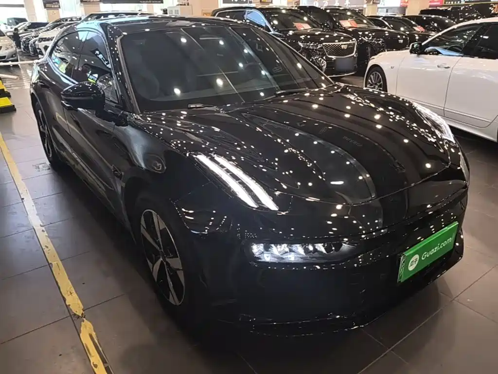 Zeekr 001 2023 WE 100kWh
