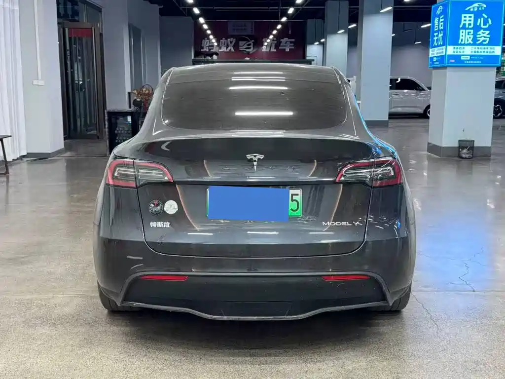 Tesla Model Y — миниатюра 10