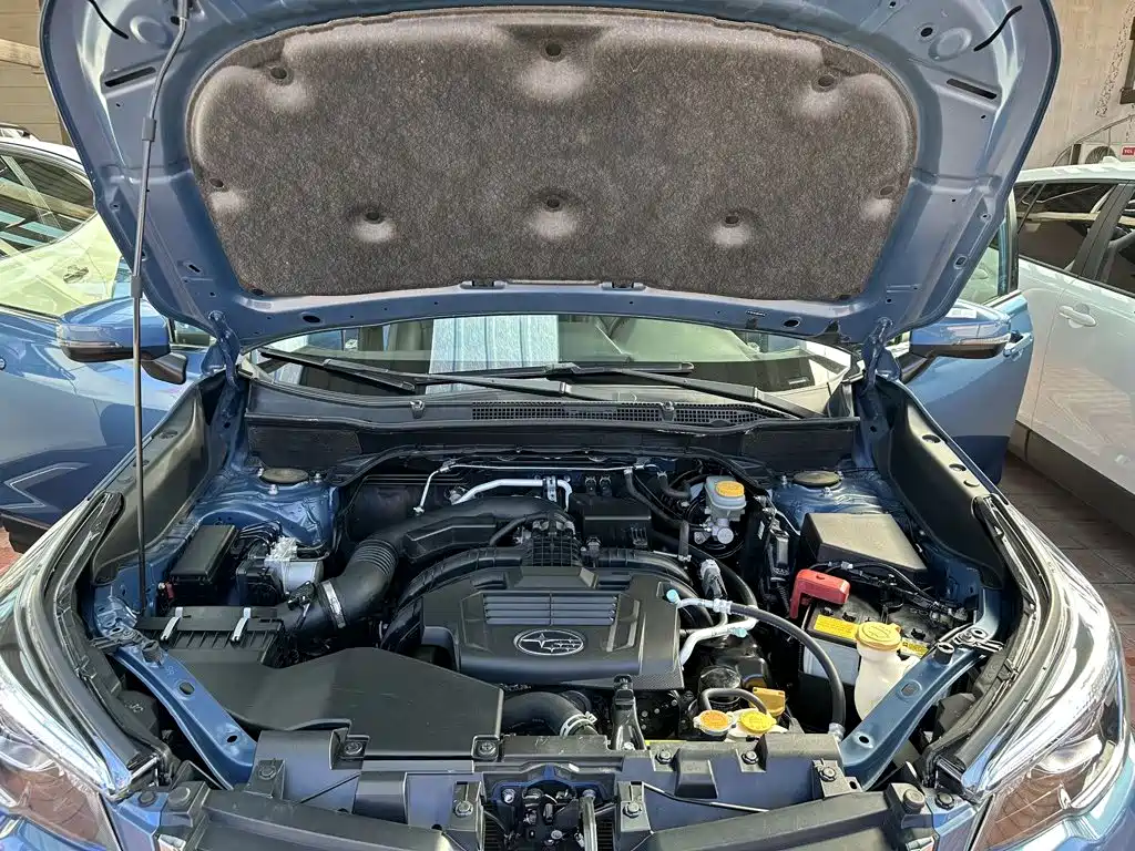 Subaru Forester — миниатюра 17